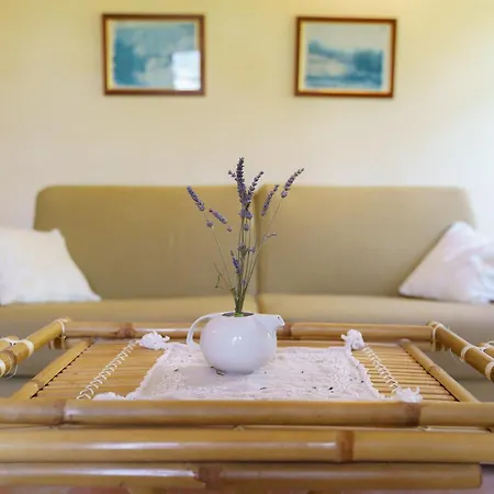 Ca'mazzetto Apartamento Valfabbrica